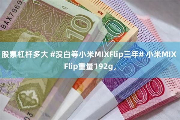 股票杠杆多大 #没白等小米MIXFlip三年# 小米MIX Flip重量192g，