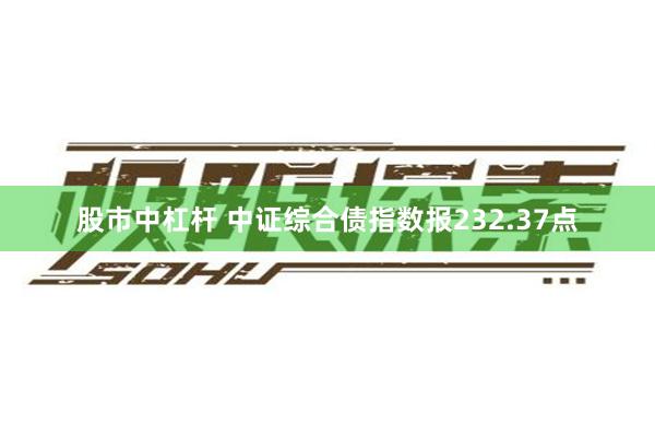 股市中杠杆 中证综合债指数报232.37点