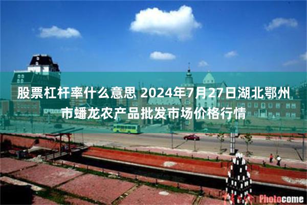 股票杠杆率什么意思 2024年7月27日湖北鄂州市蟠龙农产品批发市场价格行情