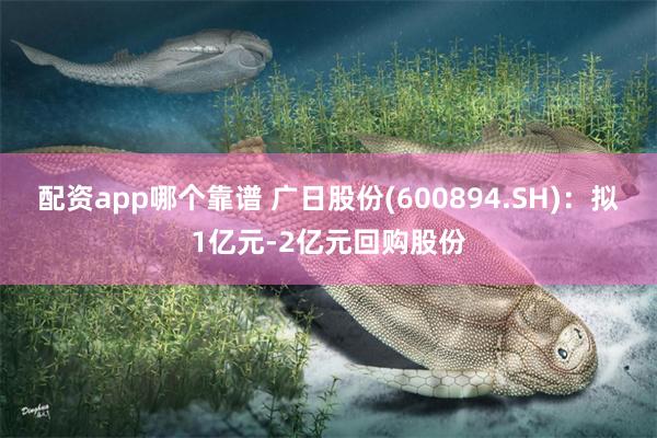 配资app哪个靠谱 广日股份(600894.SH)：拟1亿元-2亿元回购股份