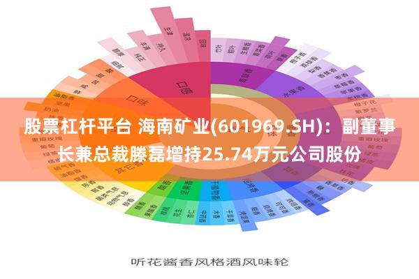 股票杠杆平台 海南矿业(601969.SH)：副董事长兼总裁滕磊增持25.74万元公司股份