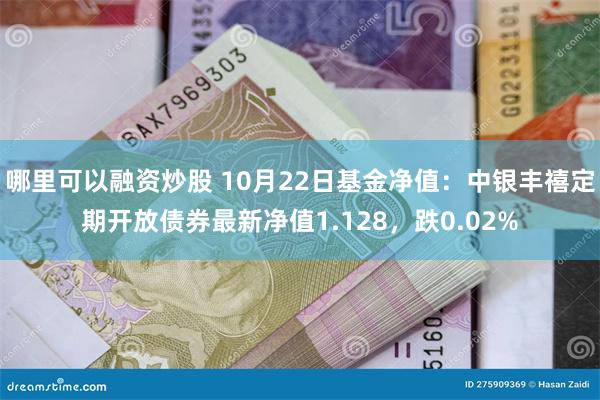 哪里可以融资炒股 10月22日基金净值：中银丰禧定期开放债券最新净值1.128，跌0.02%