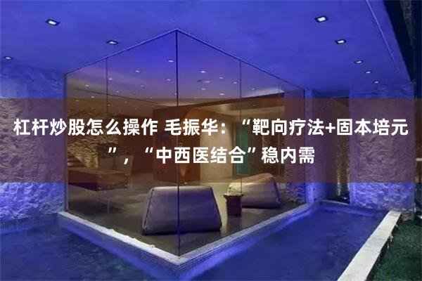 杠杆炒股怎么操作 毛振华：“靶向疗法+固本培元”，“中西医结合”稳内需