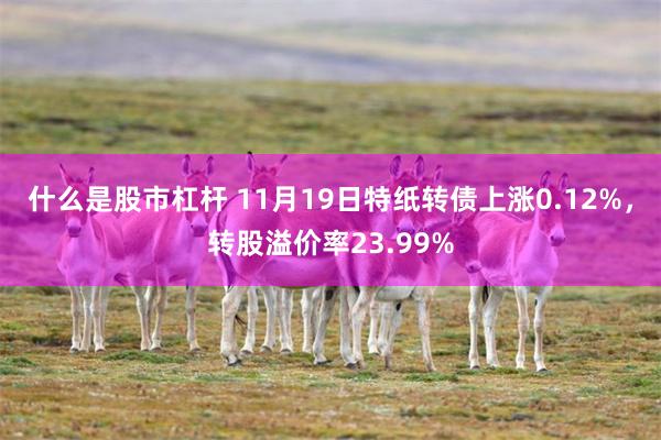 什么是股市杠杆 11月19日特纸转债上涨0.12%，转股溢价率23.99%