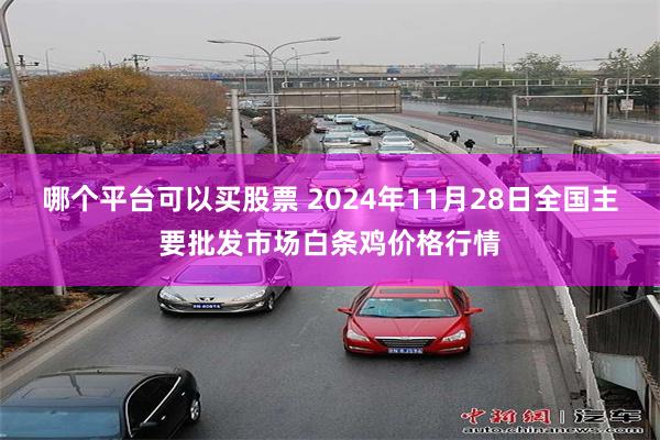 哪个平台可以买股票 2024年11月28日全国主要批发市场白条鸡价格行情