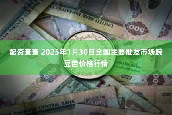 配资查查 2025年1月30日全国主要批发市场豌豆苗价格行情