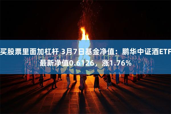 买股票里面加杠杆 3月7日基金净值：鹏华中证酒ETF最新净值0.6126，涨1.76%